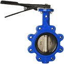 PTFE Butterfly Valves