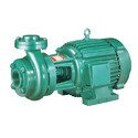 Bore Well Motor