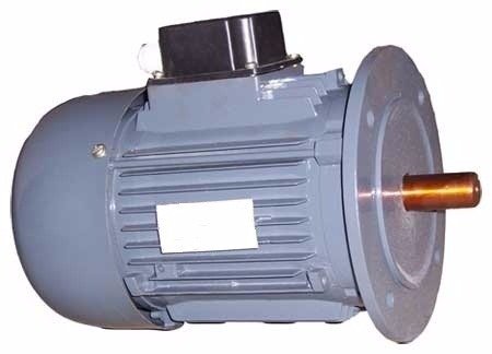 Vertical Type Electric Motor
