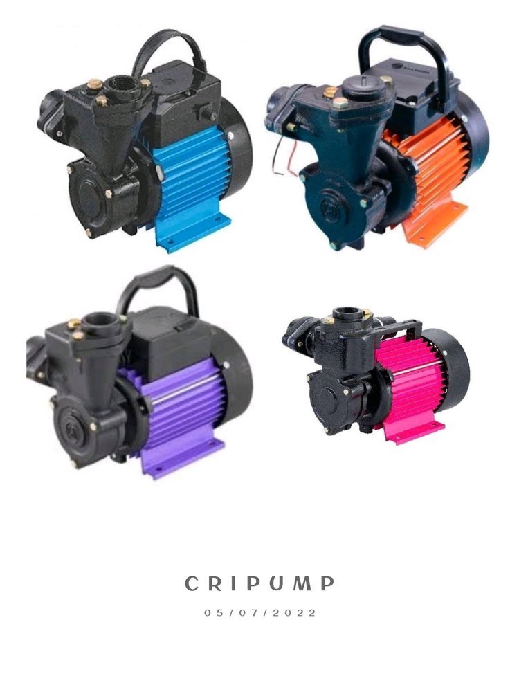 Electric 0.5 HP CRI Water Pumps