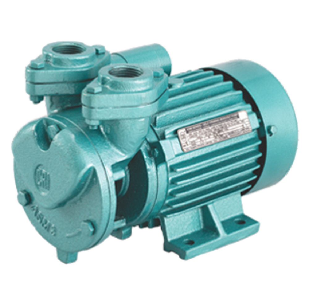 0.75 kW (1 hp) CRI Selfy 100 MS Water Pump