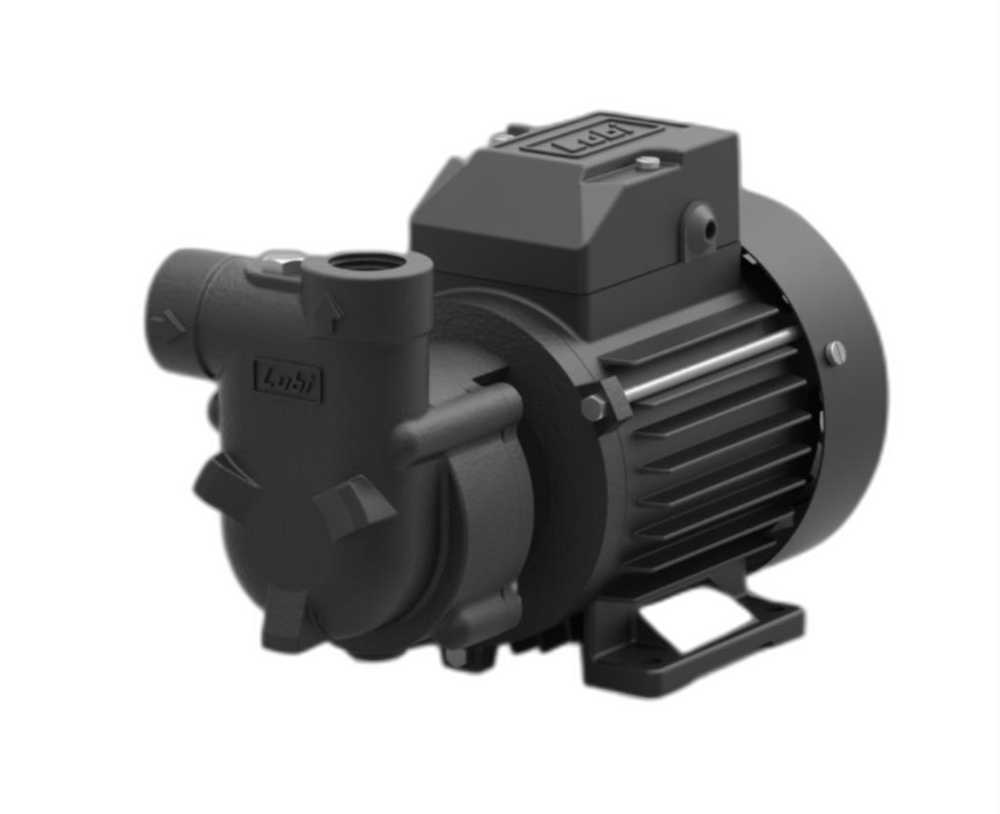 1 HP Lubi Self Priming Centrifugal Feed Pump
