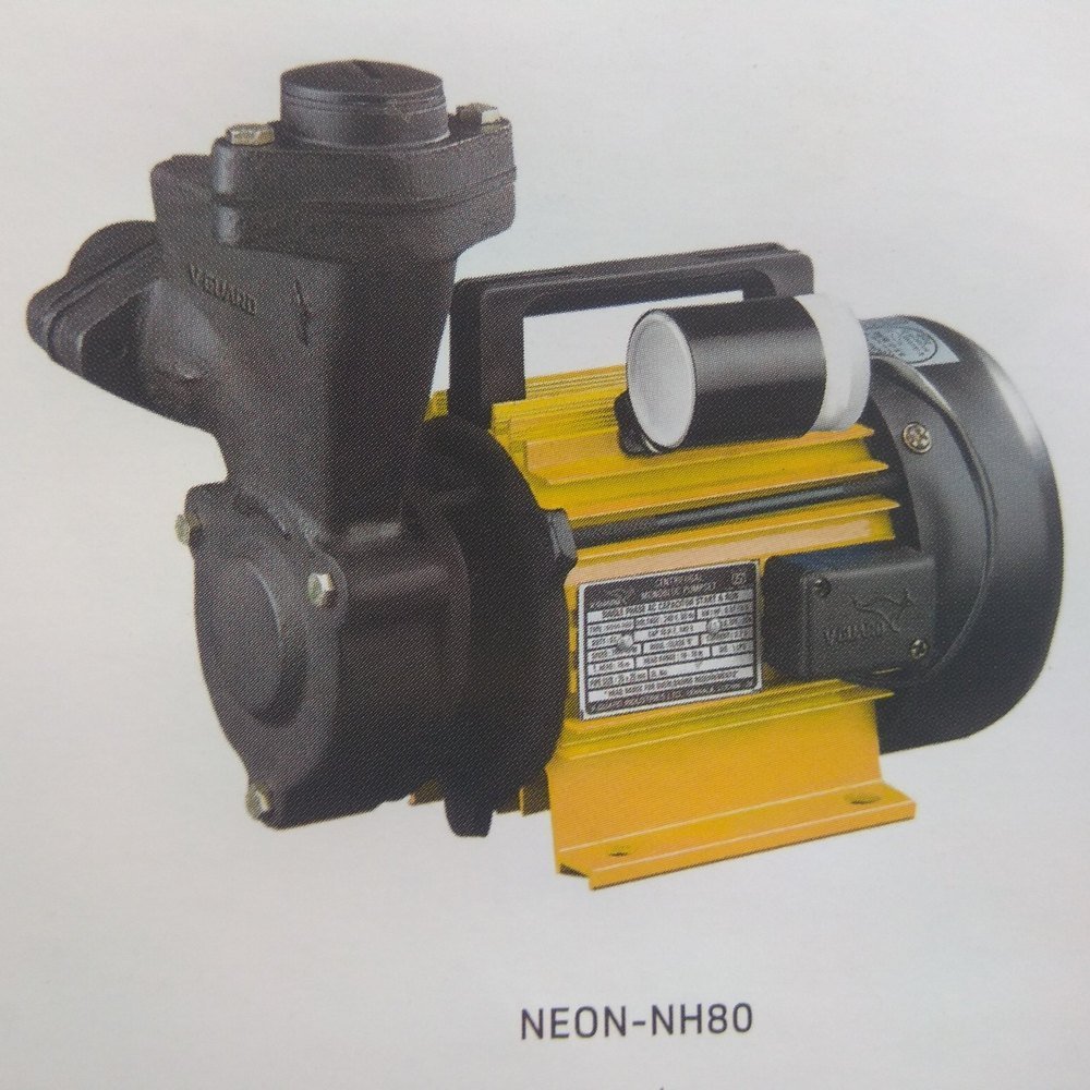 Electric V Guard Domestic Pumps