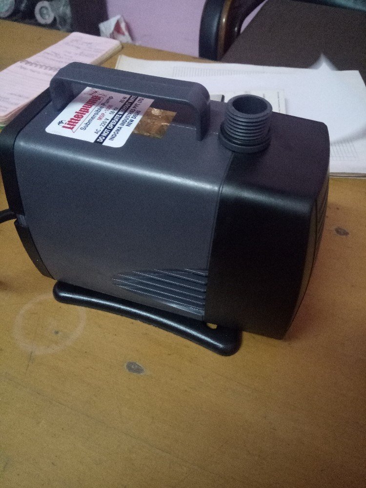 littel Fountain Pump & Submersible Pump, 800 , Max Flow Rate: Rs-4050