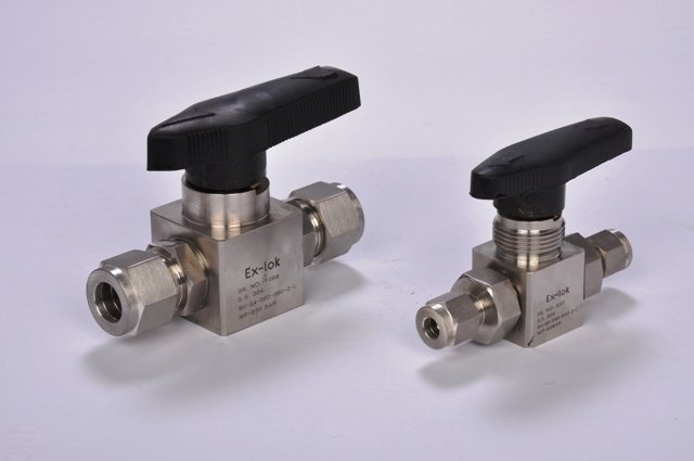 Exlok SS Ball Valve 6000