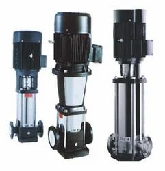 Stainless Steel Single Phase CNP Pump, Warranty: 12 month