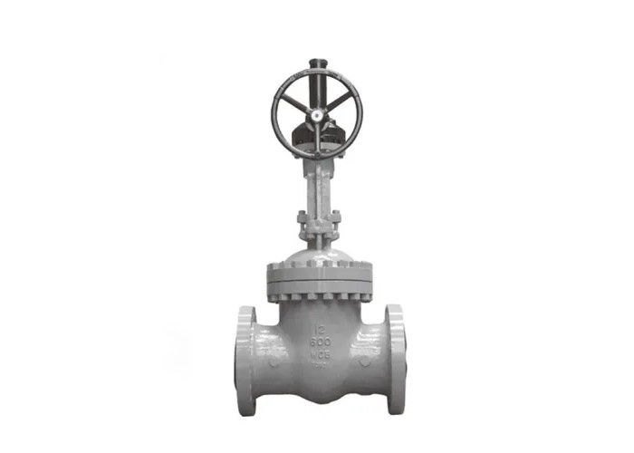 Rank 150-#1500 Alloy 20 Gate Valve, Valve Size: 10mm-400mm