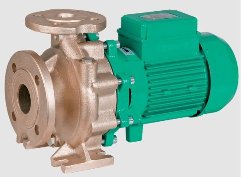 1 HP Electric Wilo BM Raw Water Intake Pump