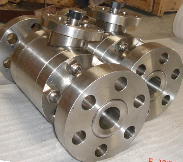Stainless Steel Forged Valve Body