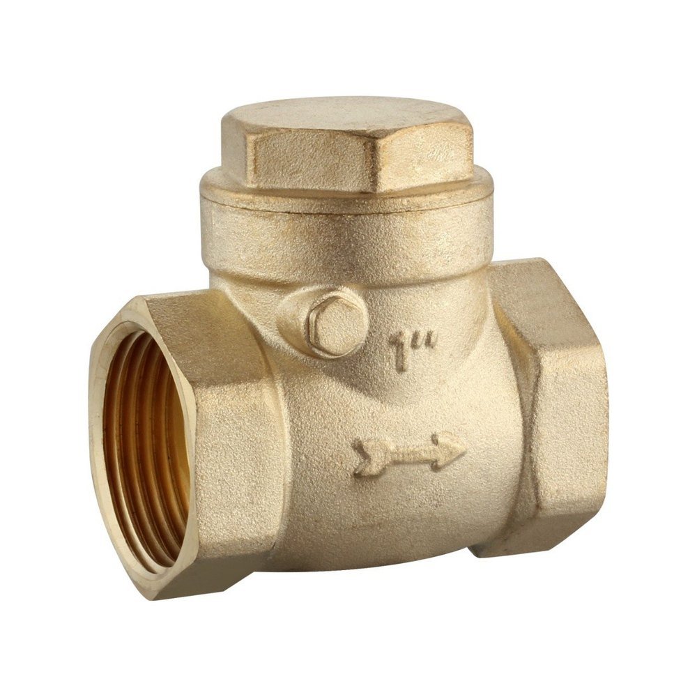 Vertical Check Valve