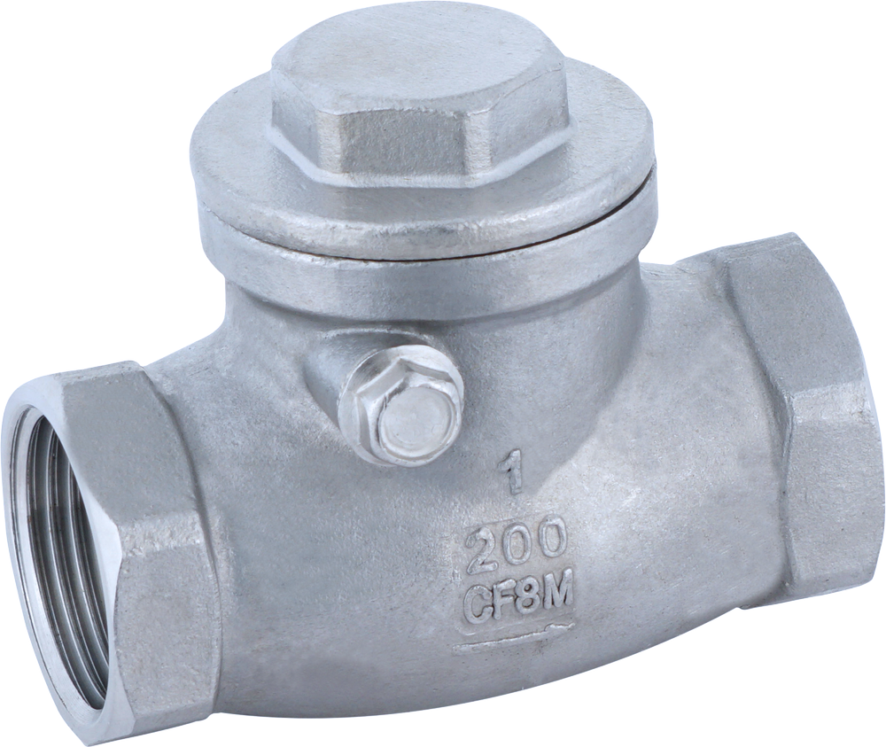 Stainless Steel Water Horizontal Check Valve