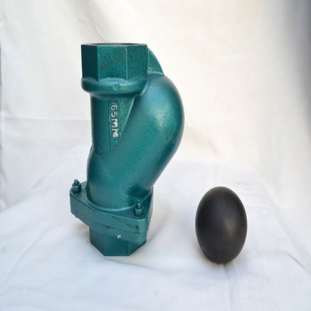 Cast Iron Check Ball Valve, Size: 65mm