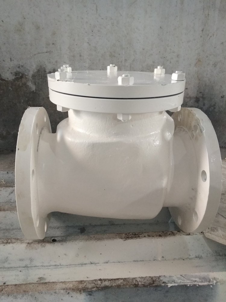 Nalisha CI, WCB Check Valves, Valve Size: up to 0.25 inch