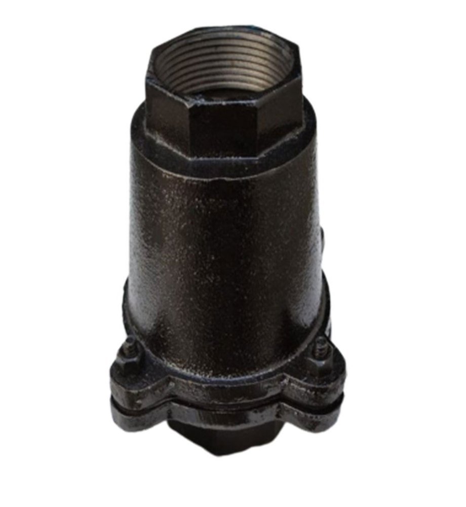 Cast Iron CRI Type Check Valve, For Industrial, Screwed