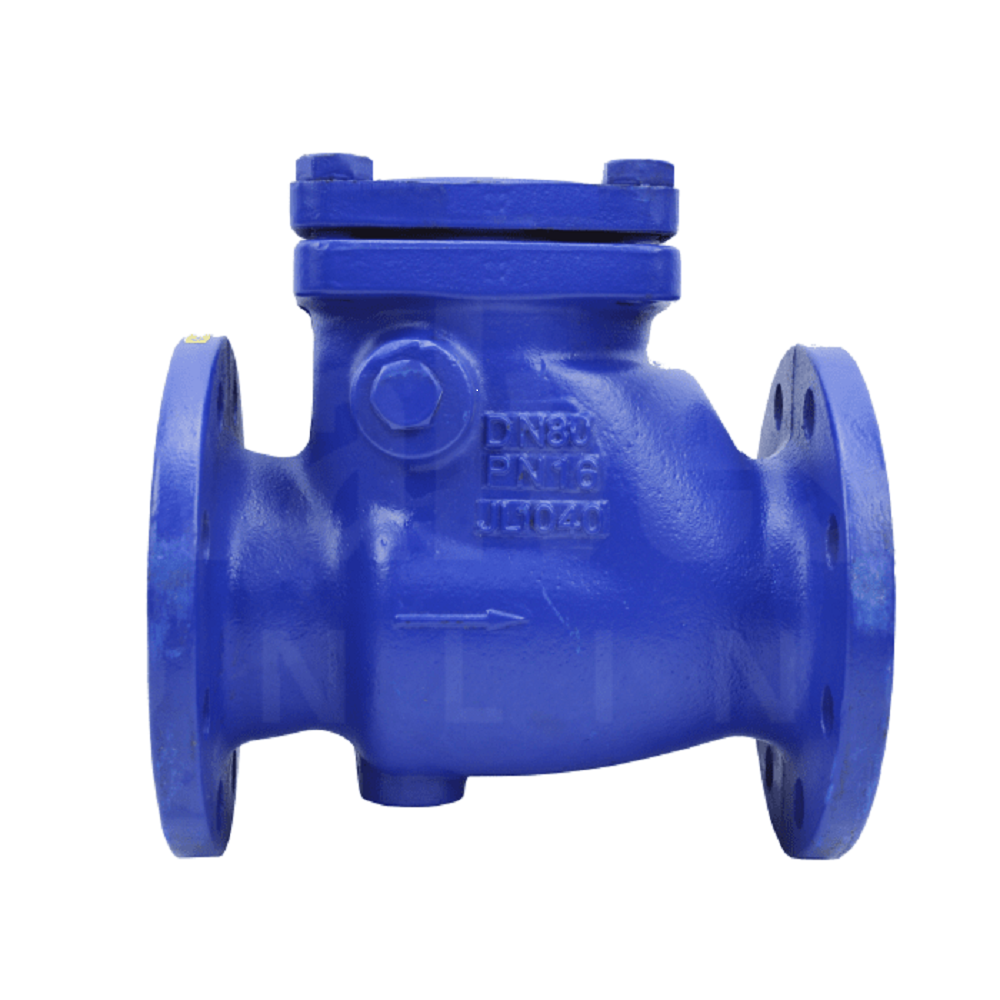 Cast Iron Swing Type Check Valve, Size: 25 mm To 300 mm
