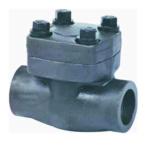 IPC Forged Lift Check Valve, Size: 1/2