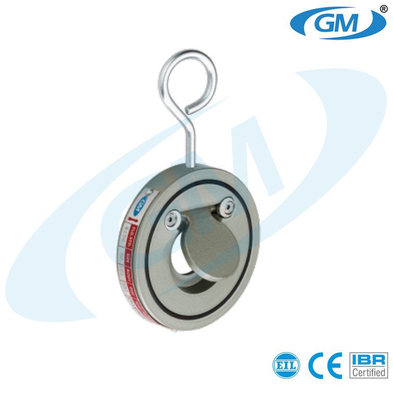 Alloy 20 GM Single Plate Check Valve