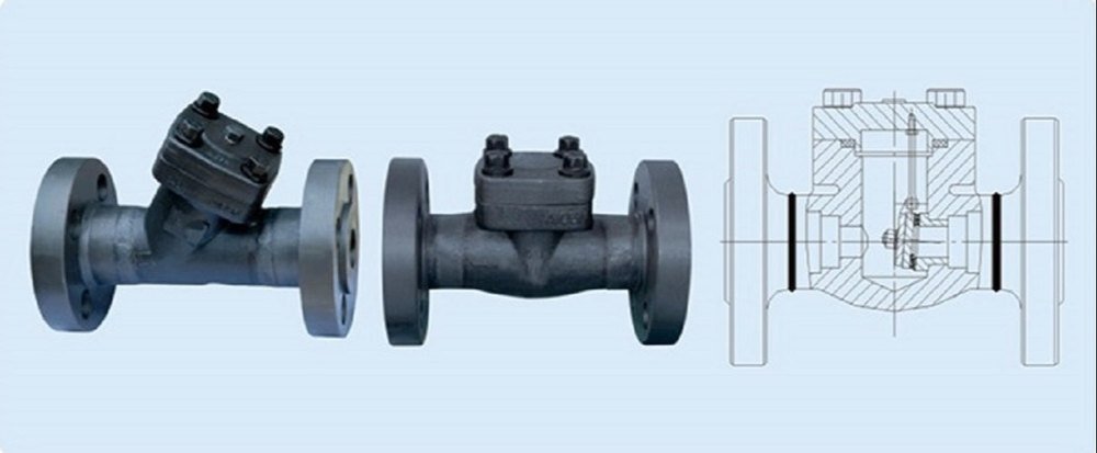 Forged Check Valve Flange End