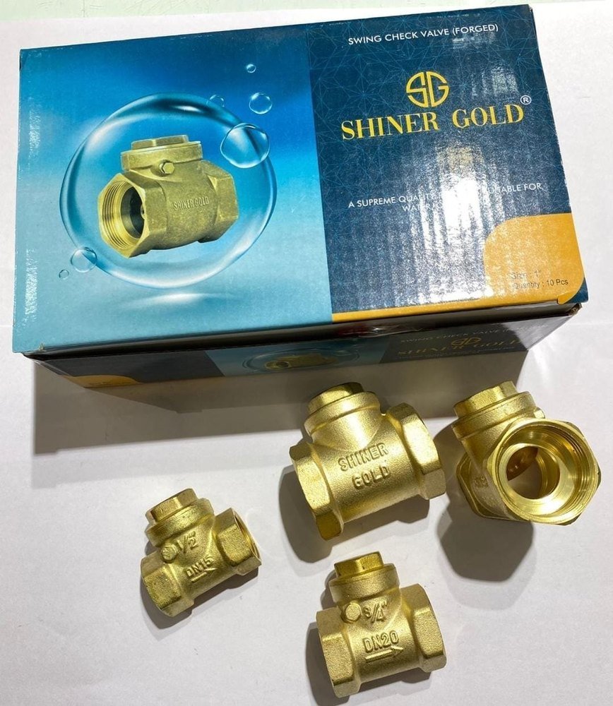Brass PN25 Spring Check Valve, Valve Size: 1.0 inch