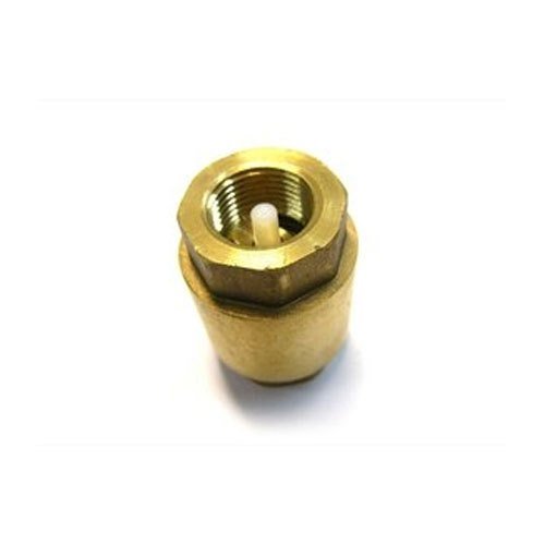 Brass Spring Check Valve