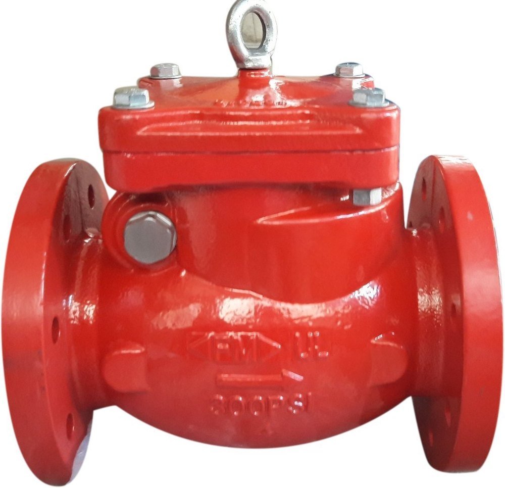 Water Cast Iron Swing Check Valve, Size: 25mm (diameter)