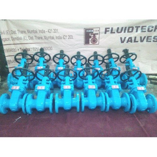 Mild Steel Fluidtech Gate Valve