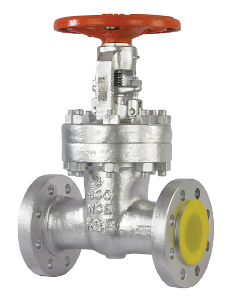 KSB Flange End Gate Valve