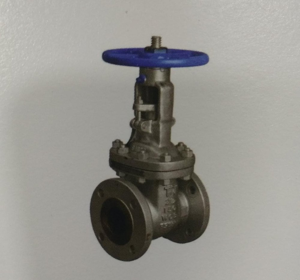 Stainless Steel Gate Valves, Size: 25 mm To 500 mm