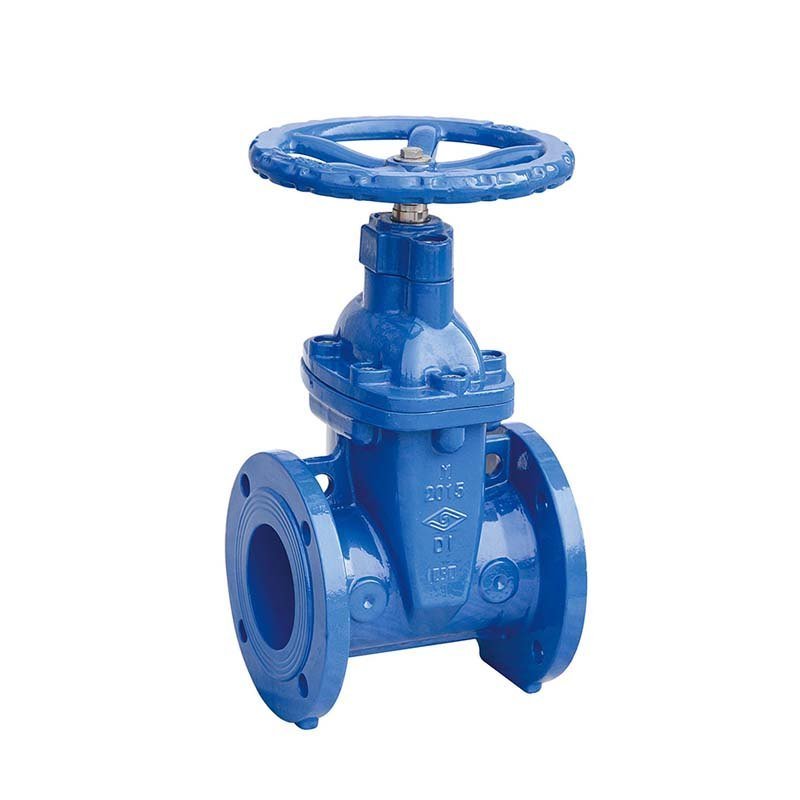 DI Flanged NRS Gate Valve, Size: 3 Inch