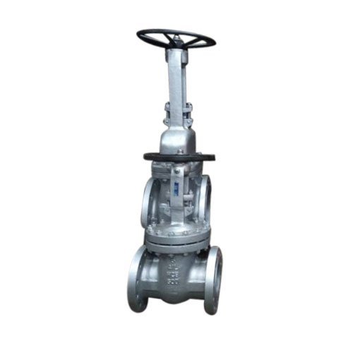 Polished Stainless Steel Gate Valve
