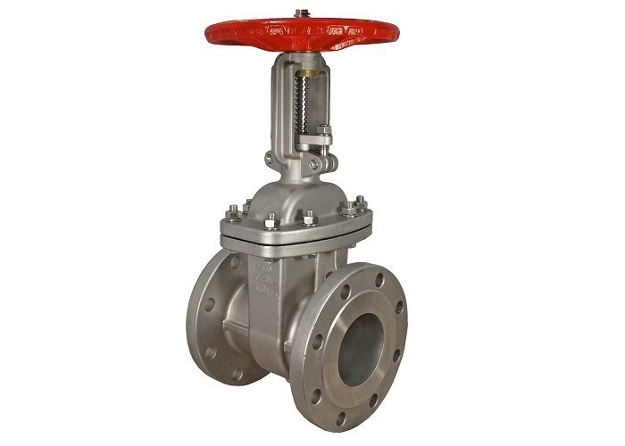 Stainless Steel Gate Valve