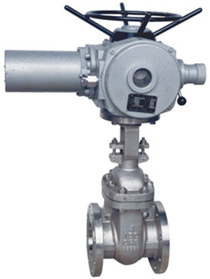 AMBIT Motorised Gate Valve