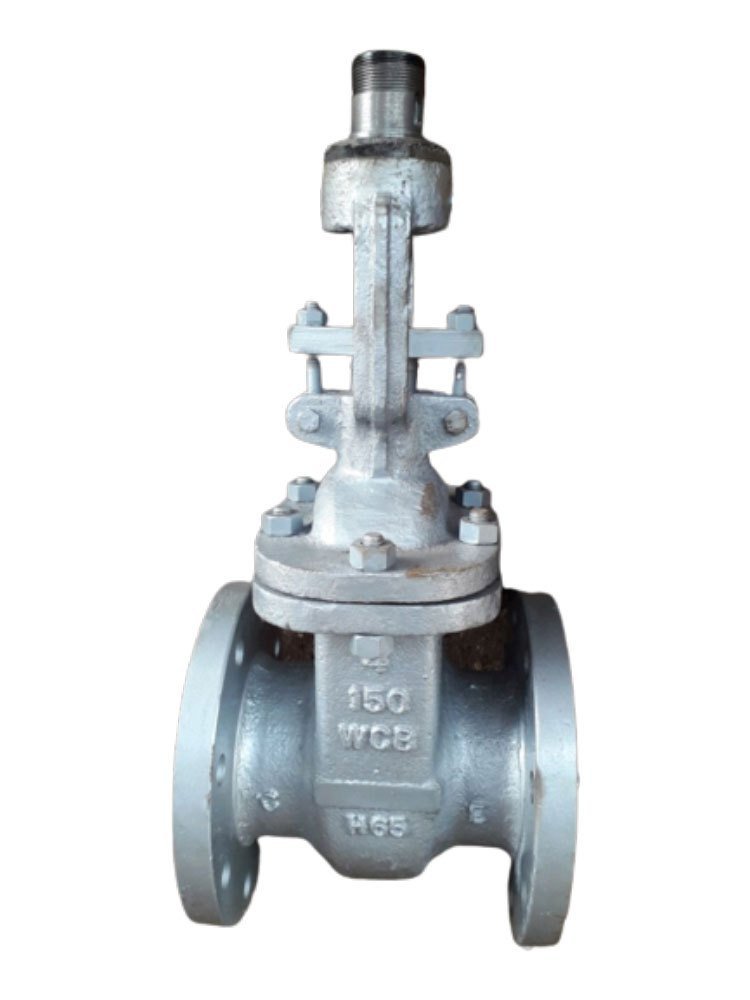 Stainless Steel Non Rising Gate Valve, Size: 150mm