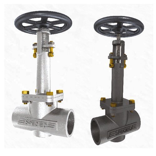 Extended Bonnet Globe/Gate Valve S/E