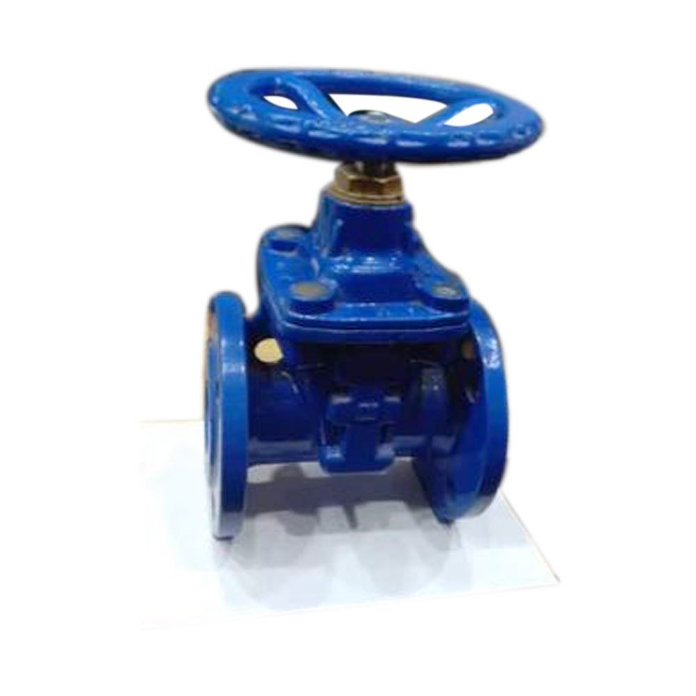 40 Mm Di Resilient Soft Seated Gate Valve/ Sluice Valve, Model Name/number: Rsv