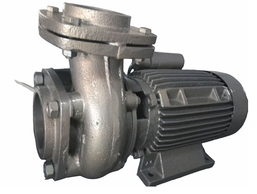 Horizontal Mono Submersible Pump, 1 HP