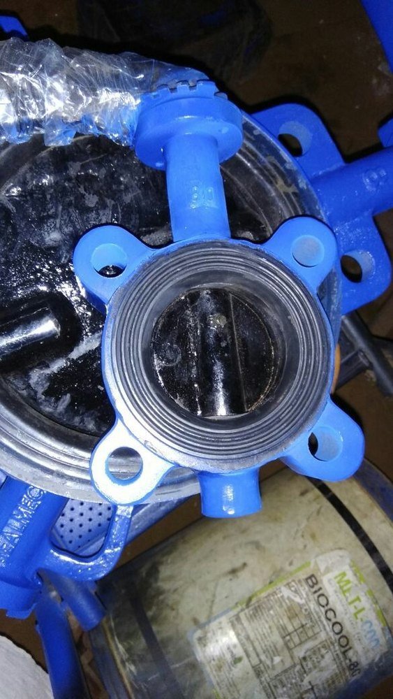 Lug Type Butterfly Valve