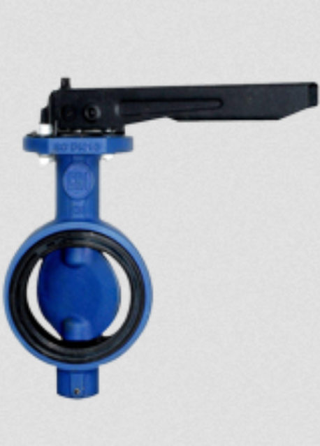 Blue And Black Butterfly Valve