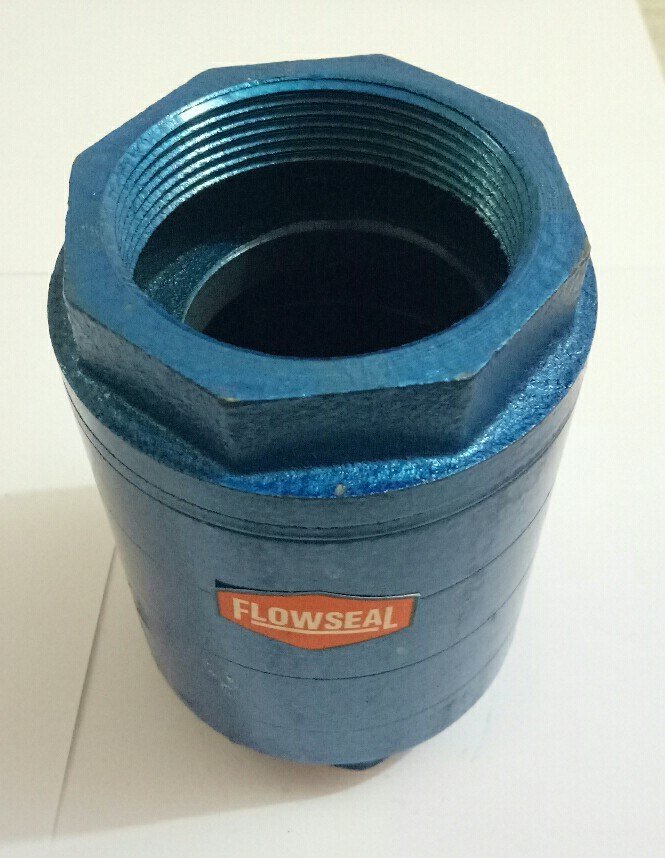 Cast Iron Non Return Valve, Screwed, Size: 30 Mm