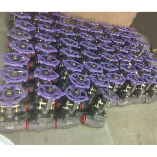 IVM Forged Globe Valve