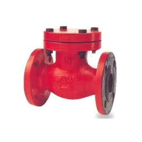 Standardized Non Return Valve