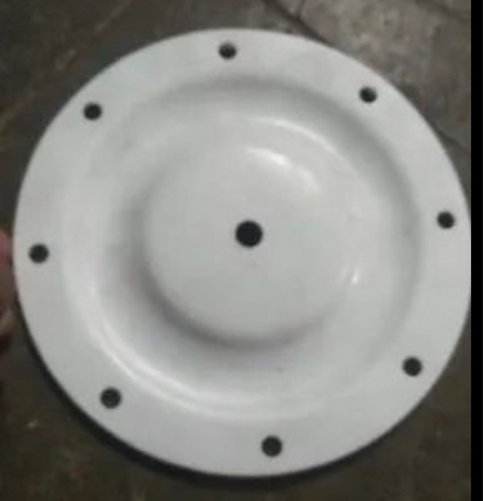 Ptfe White Diaphram