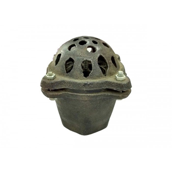 SVR Cast Iron Foot Valve