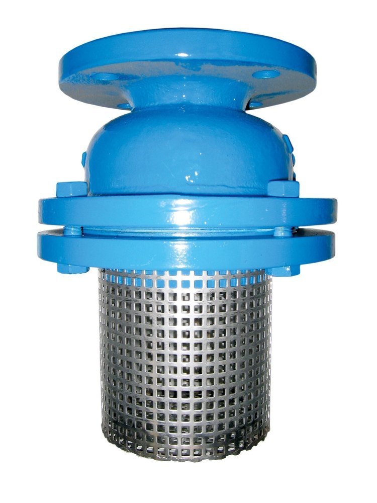 Cast Iron Foot Valve, Size: 50 MM To 1000 MM