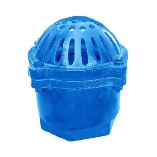 Striner Type Blue Cast Iron Foot Valve, Size: 1 To 10