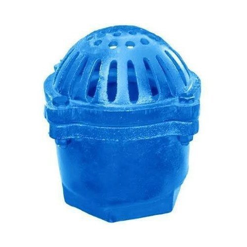 Isi Cast iron foot valve flanged, Model Name/Number: KRFTV1, Size: 50mm To 600 Mm