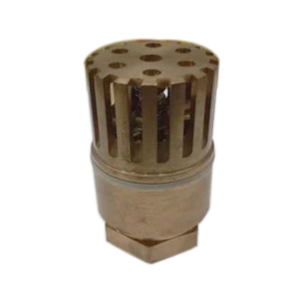 DRP Golden CI FOOT VALVE / SCREWED FOOT VALVE, Model Name/Number: Is 21, Size: 1/2 Inch