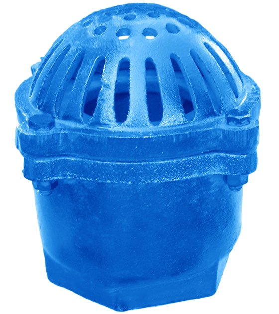 Cast Steel Foot Valve