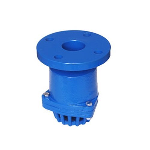 Cast Iron Foot Valve, Size: 200 Mm