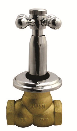Brass Drain Valve